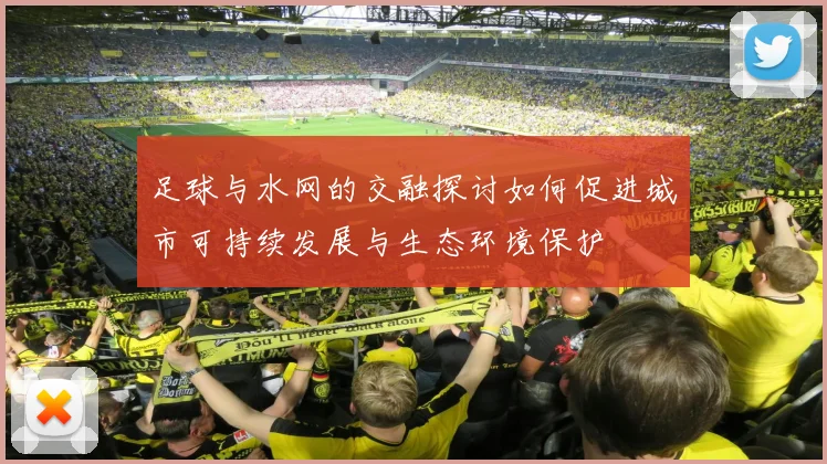 足球与水网的交融探讨如何促进城市可持续发展与生态环境保护