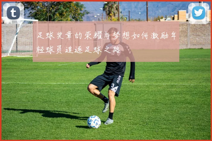 足球奖章的荣耀与梦想如何激励年轻球员追逐足球之路