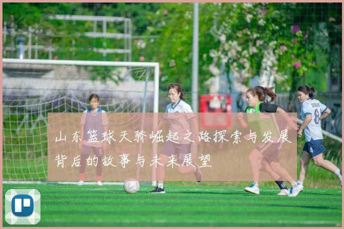 山东篮球天骄崛起之路探索与发展背后的故事与未来展望