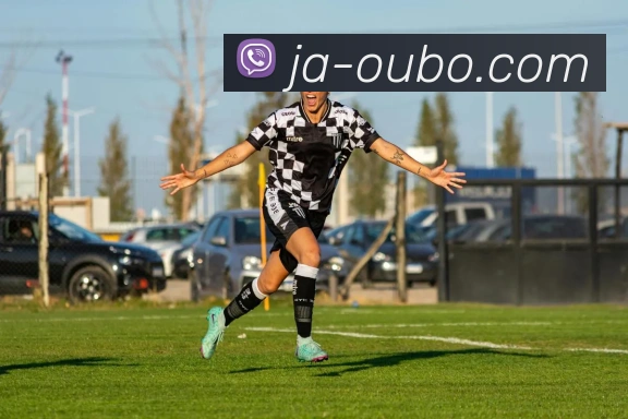 OUBO GAME平台生态图